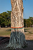 In Thailand some trees are wrapped with a cloth. Especially in temples but also in forests. It means that a spirit inhabits the tree. Wat Phra Pai Luang - Old Sukhothai - Thailand.